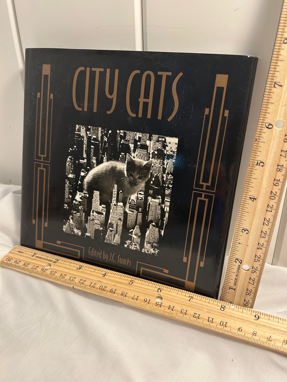 City Cats 90s Hardcover Photo Book Jean-Claude Suarès Italy vintage cat pictures - Picture 6 of 17